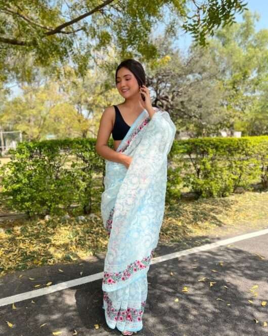 Lucknowi Thread Work Saree