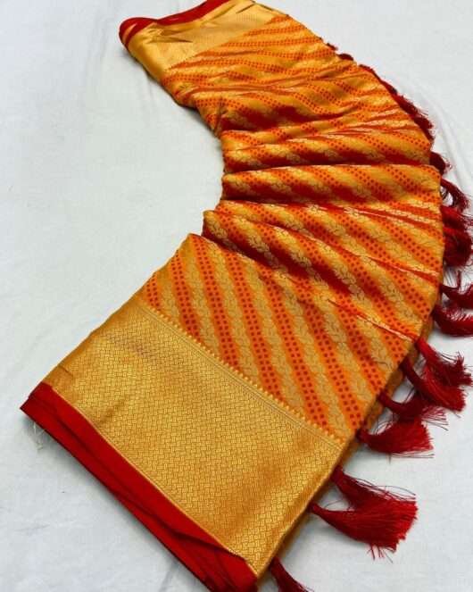 Banarasi patola Silk Saree