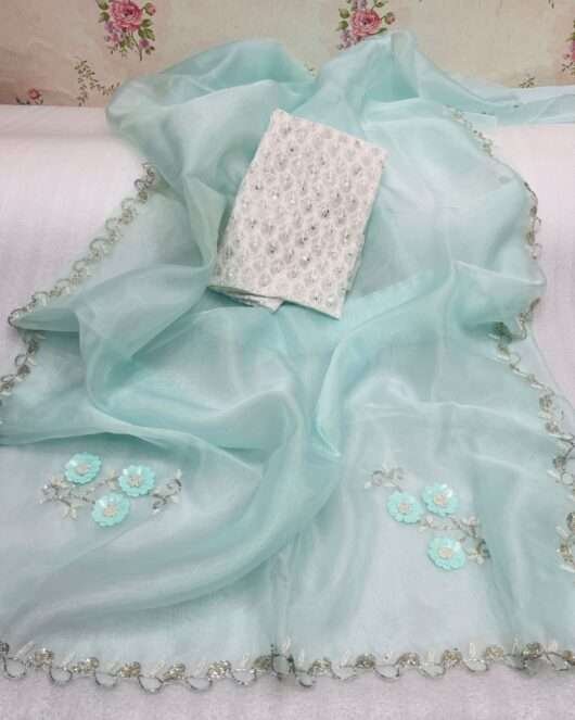 Fully handwork organza saree